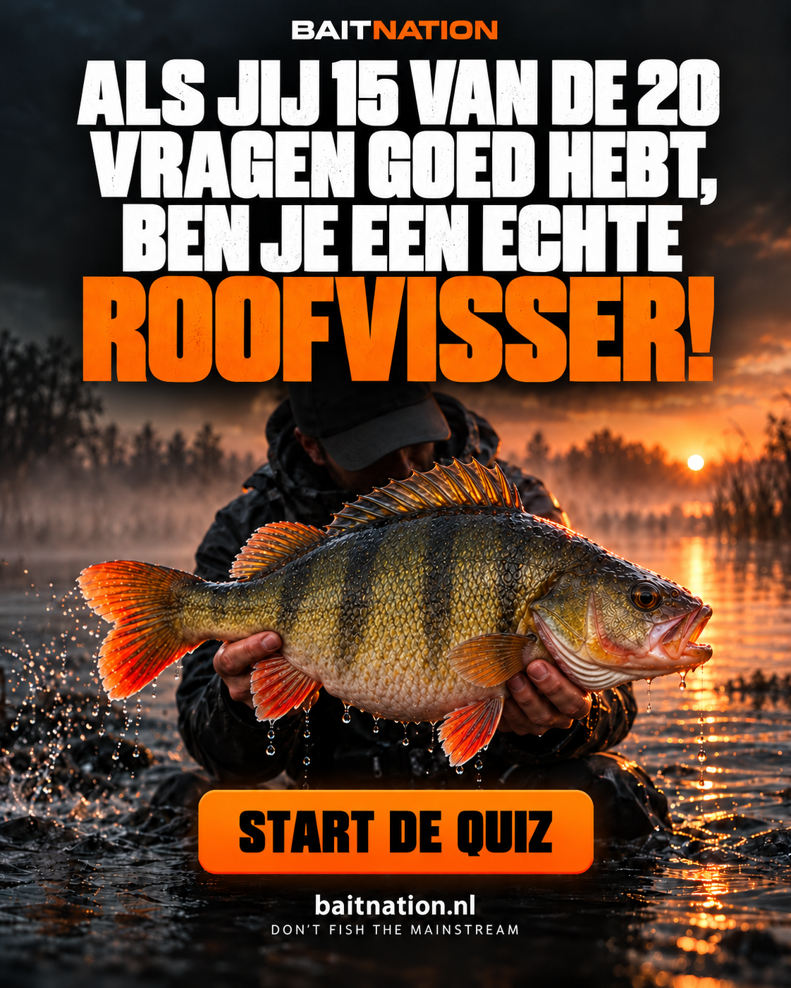 BaitNation quizvisual: een visser met een dikke baars bij zonsondergang. Als jij 15 van de 20 vragen goed hebt, ben je een echte roofvisser.
